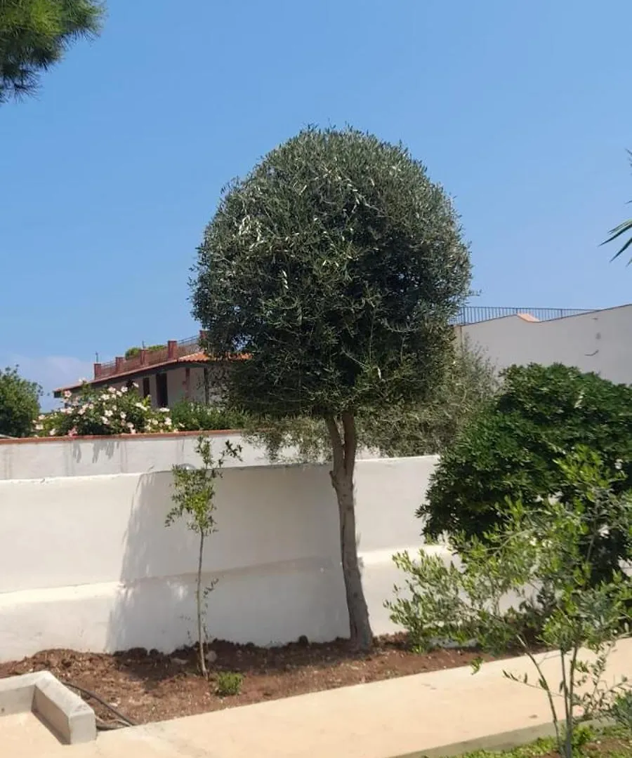 Villa Francesca Carini